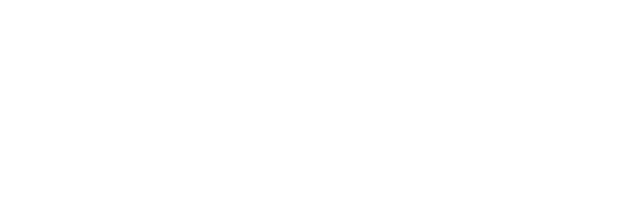 Digital Penguin Logo